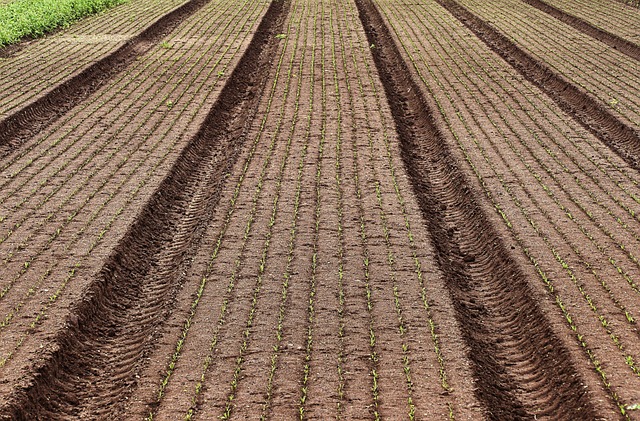 Délimitation de parcelles rurales par SOPRESCI-AGRO