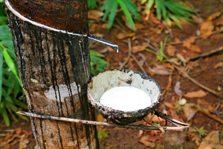 Cabinet SOPRESCI-AGRO