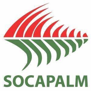 Logo SOCOPALM