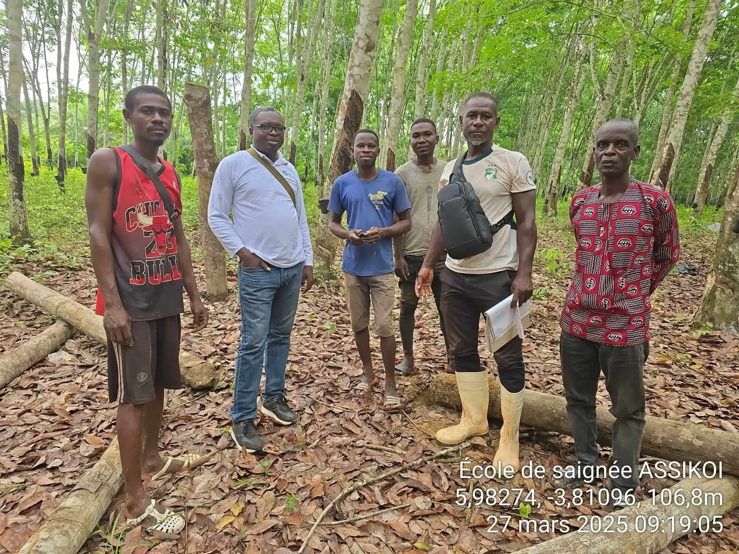 Formation à la saignée descendante