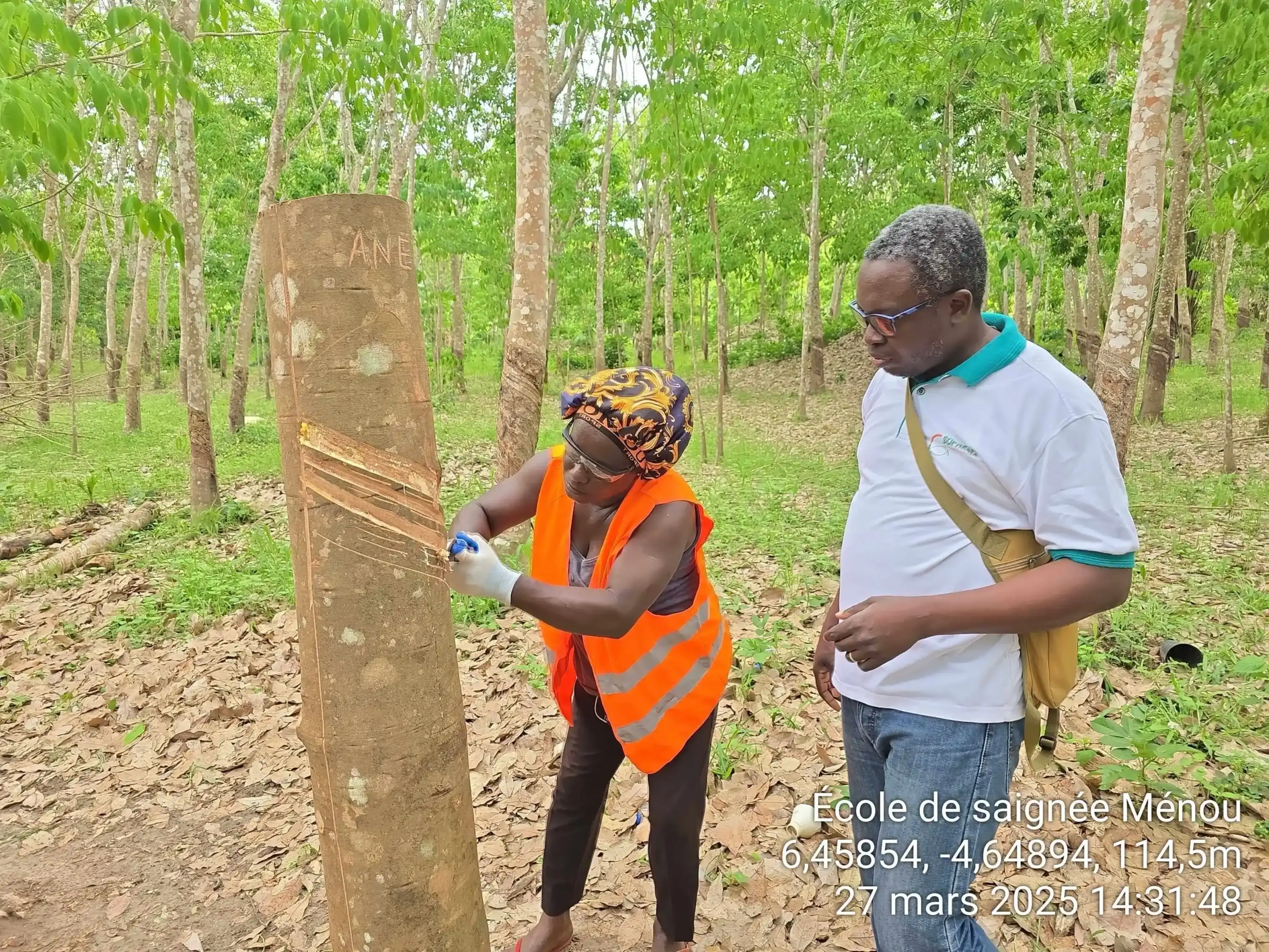 Travail sur le terrain