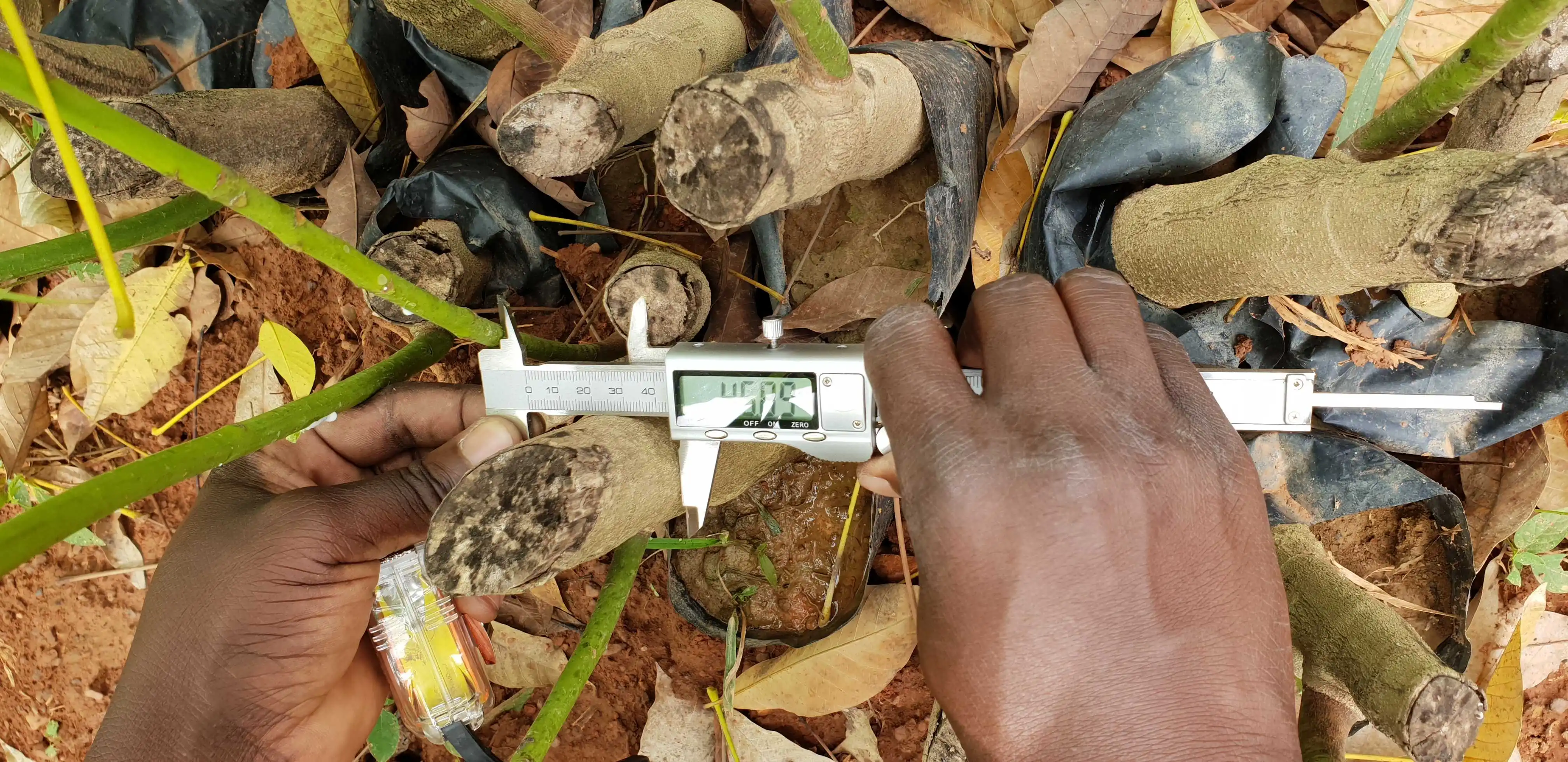 Service d'assistance technique SOPRESCI-AGRO